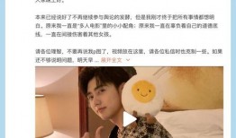 退团女爱豆爆料男爱豆视频,惊人真相曝光